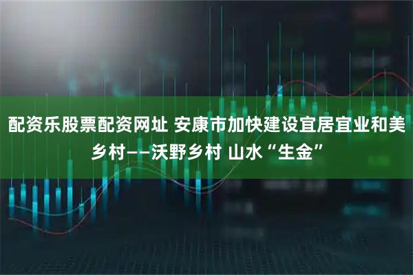 配资乐股票配资网址 安康市加快建设宜居宜业和美乡村——沃野乡村 山水“生金”