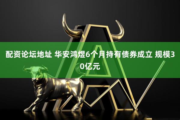 配资论坛地址 华安鸿煜6个月持有债券成立 规模30亿元